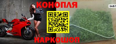 крисы Будённовск