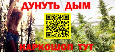 крисы Будённовск
