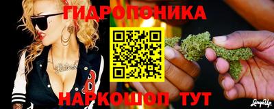 крисы Будённовск